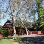 IMG_7875 (May 28, 2024)